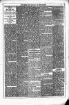 Dublin Weekly News Saturday 28 February 1880 Page 3