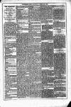 Dublin Weekly News Saturday 28 February 1880 Page 5