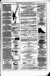 Dublin Weekly News Saturday 28 February 1880 Page 7
