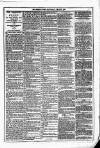 Dublin Weekly News Saturday 06 March 1880 Page 5