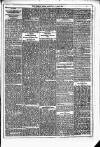 Dublin Weekly News Saturday 15 May 1880 Page 3