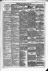 Dublin Weekly News Saturday 15 May 1880 Page 5
