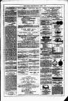 Dublin Weekly News Saturday 15 May 1880 Page 7