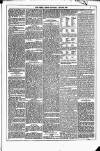 Dublin Weekly News Saturday 12 June 1880 Page 3