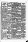 Dublin Weekly News Saturday 17 July 1880 Page 5