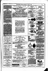 Dublin Weekly News Saturday 17 July 1880 Page 7