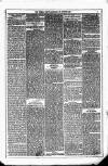 Dublin Weekly News Saturday 28 August 1880 Page 3