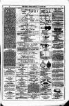 Dublin Weekly News Saturday 28 August 1880 Page 7