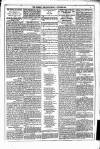 Dublin Weekly News Saturday 02 October 1880 Page 5