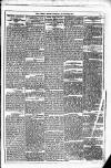 Dublin Weekly News Saturday 23 October 1880 Page 5