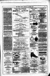 Dublin Weekly News Saturday 23 October 1880 Page 7