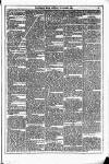 Dublin Weekly News Saturday 30 October 1880 Page 3