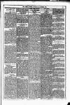 Dublin Weekly News Saturday 30 October 1880 Page 5
