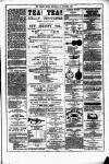 Dublin Weekly News Saturday 30 October 1880 Page 7