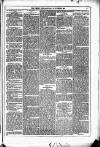 Dublin Weekly News Saturday 27 November 1880 Page 3