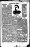 Dublin Weekly News Saturday 04 December 1880 Page 5