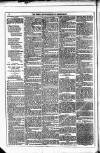Dublin Weekly News Saturday 11 December 1880 Page 6