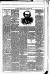 Dublin Weekly News Saturday 18 December 1880 Page 5