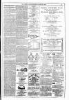 Dublin Weekly News Saturday 22 January 1881 Page 7