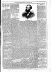 Dublin Weekly News Saturday 29 January 1881 Page 5