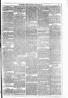 Dublin Weekly News Saturday 05 February 1881 Page 3