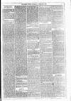 Dublin Weekly News Saturday 12 February 1881 Page 3