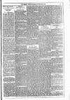 Dublin Weekly News Saturday 19 February 1881 Page 5