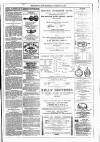 Dublin Weekly News Saturday 19 February 1881 Page 7