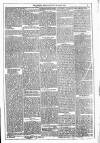 Dublin Weekly News Saturday 12 March 1881 Page 3