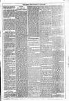 Dublin Weekly News Saturday 30 April 1881 Page 3