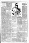 Dublin Weekly News Saturday 30 April 1881 Page 5
