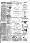 Dublin Weekly News Saturday 30 April 1881 Page 7