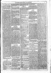 Dublin Weekly News Saturday 06 August 1881 Page 3