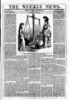 Dublin Weekly News Saturday 05 November 1881 Page 1