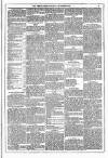 Dublin Weekly News Saturday 05 November 1881 Page 3