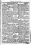 Dublin Weekly News Saturday 05 November 1881 Page 5