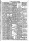 Dublin Weekly News Saturday 19 November 1881 Page 5