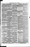 Dublin Weekly News Saturday 01 April 1882 Page 3