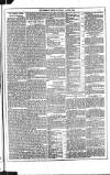 Dublin Weekly News Saturday 01 April 1882 Page 5