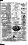 Dublin Weekly News Saturday 01 April 1882 Page 7