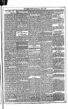 Dublin Weekly News Saturday 08 April 1882 Page 5