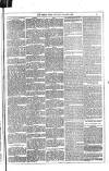 Dublin Weekly News Saturday 22 April 1882 Page 3