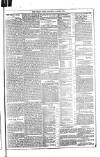 Dublin Weekly News Saturday 22 April 1882 Page 5