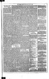 Dublin Weekly News Saturday 01 July 1882 Page 5