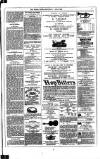 Dublin Weekly News Saturday 01 July 1882 Page 7