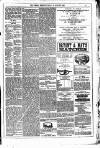 Dublin Weekly News Saturday 13 January 1883 Page 7