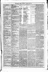 Dublin Weekly News Saturday 03 February 1883 Page 3