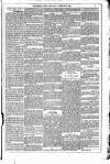Dublin Weekly News Saturday 03 February 1883 Page 5