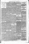 Dublin Weekly News Saturday 24 February 1883 Page 5