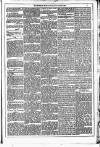 Dublin Weekly News Saturday 03 March 1883 Page 3